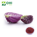 Red Cabbage Color Natural Powder Pigment